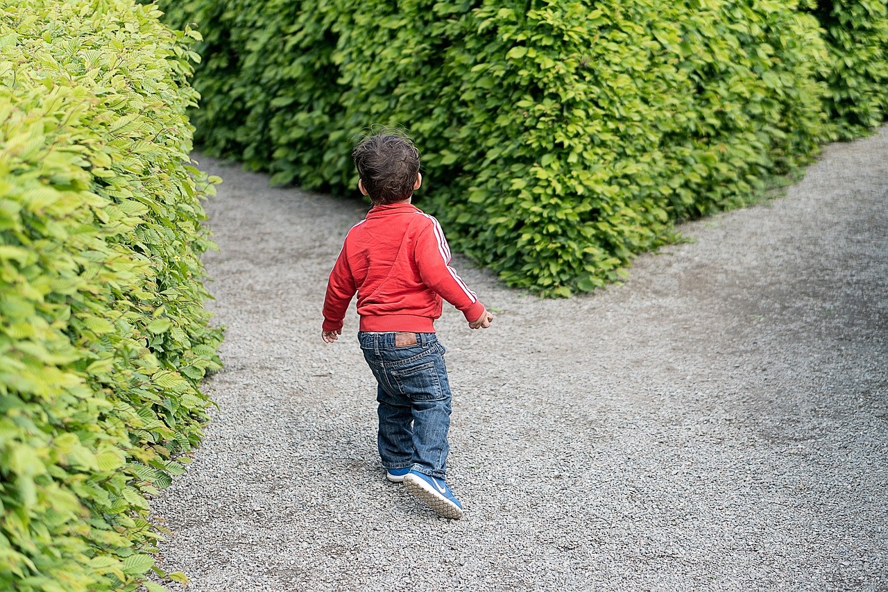 The Twist That Rewrites the Beginning: A Field Guide to Retroactive Shock